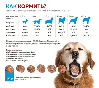 Здоровье маленькой собаки 🐶 - ProPlan.ru