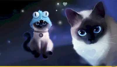 няшный котик | Иллюстрации кошек, Иллюстрация кошки, Кошачий рисунок