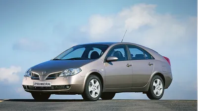 Nissan Primera (P12). Отзывы владельцев с фото — DRIVE2.RU