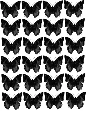 Сувенир - Ночные бабочки России - рамка 300 x 375 x 27 мм