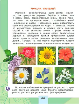 Ответы Mail.ru: Рассказ о красоте растений