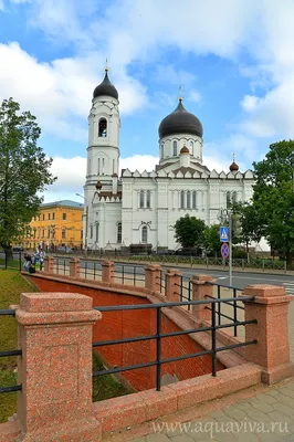 Книжный оформитель Михайло Ломоносов