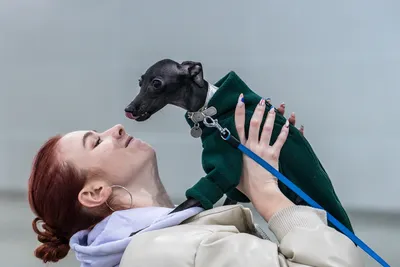 Милота моя 🥰 Обнимашки- терапия каждый день🌞 Любишь животных?👇🏻  #Ксениякуприкова | Instagram