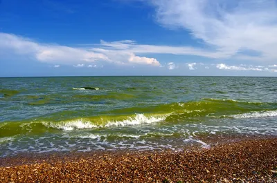 Море в Одессе стало зеленым - появились фото - Новости Одессы | Сегодня