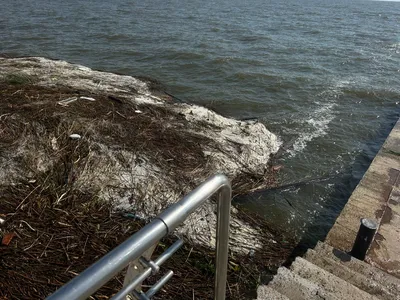 Когда вода в море в Одессе самая теплая? Температура воды в Черном море