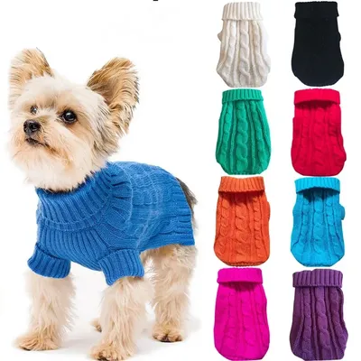 ТОП 5 популярной одежды для собак на зиму | Animal Town | Дзен