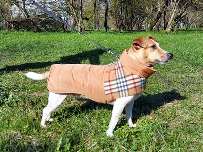 Yoriki Одежда для собак комбинезон зимний пуховик