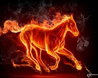 Картинки огненной лошади фотографии