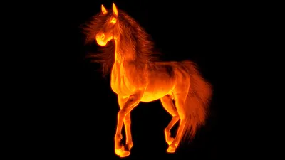 Модульная картина Огненная лошадь (Огонь) - купить у производителя
