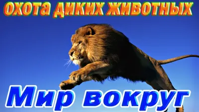 Подборка игр про охоту для Android и iOS / Компьютерные и мобильные игры /  iXBT Live