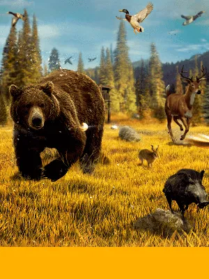 Скачать Пограничная охота на животных 1.3 для Android, iPhone / iPad