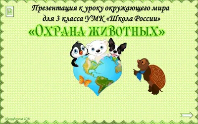 Защита животных в Узбекистане