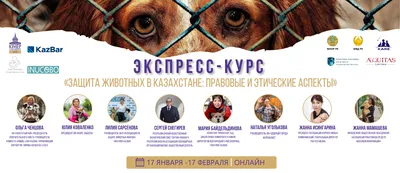Общество защиты животных Animal Vox | Общество защиты животных Animal Vox  СП - Новости Бельцы Молдова
