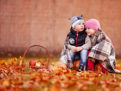 Осенняя картинка для детей - 63 фото