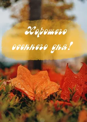 Картинка прекрасного осеннего воскресного дня | Осенние картинки, Осень,  Картинки