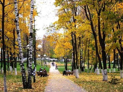 Осень в городе на реке / Осень в городе на реке