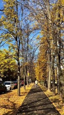 Осень в городе стоковое изображение. изображение насчитывающей город -  45265189