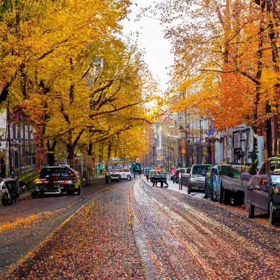 Осень в городе | Осенние картинки, Эстетика, Осень