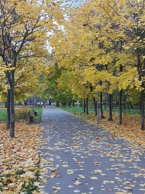 Красивая осень в любимом городе Д💔🍂 | Instagram