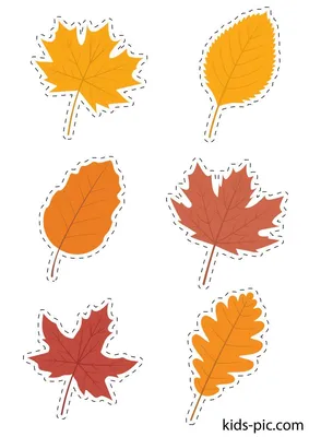 Шаблоны Осенних Листьев Для Вырезания | Kids-Pic.com | Paper flower art,  Fall leaf template, Leaf template