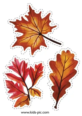 Watercolor Flowers Discover Шаблоны Осенних Листьев Для Вырезания |  Kids-Pic.com дубовый листок шаблон для выр… | Fall leaf template, Leaf  template, Autumn stickers