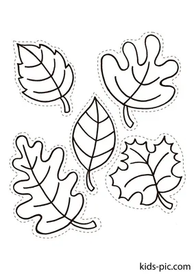 Букет осенних листьев из бумаги - 59 фото