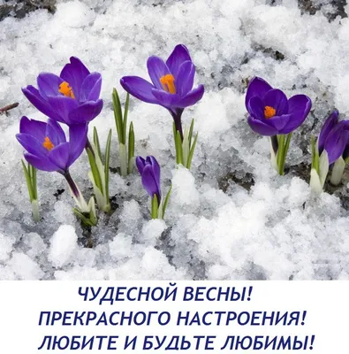 Открытка 1 марта – С началом весны - Весна картинки - анимированные картинки