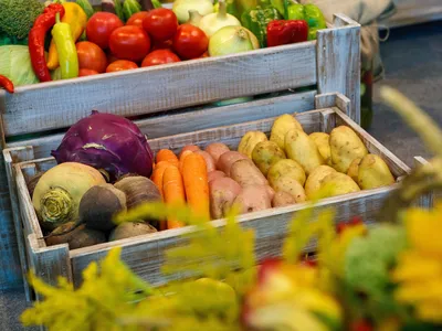 Почему организм не принимает овощи и фрукты? | Система доктора  Соколинского. Видео. Исследования | Дзен