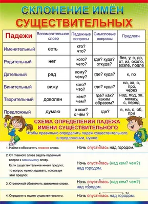 Плакат развивающий \"Падежи\" А2 50х70 см - купить в Набережных Челнах по  цене 62,40 руб | Канцтовары Карандашов