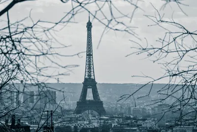 Во Франции официально... - Париж и целый мир - Paris10.ru | Facebook