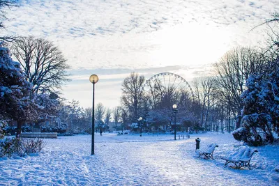 О зимнем Париже: какая погода характерна в разные месяцы, норма осадков