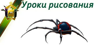 В Волгограде врачи спасают 13-летнего волжанина после укуса паука каракурта  | Новости Волжского - Волжская правда