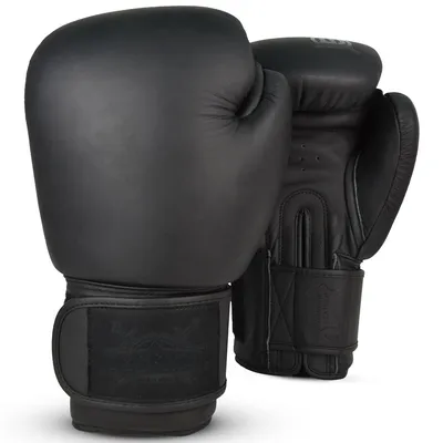 Боксерские перчатки Legenda Chrom - Black, 10 - купить по низким ценам в  интернет-магазине OZON (173693412)