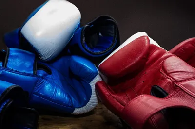 Купить Перчатки боксерские Clinch Olimp синие C111 🚩 в интернет-магазине в  Москве COMBATMARKT
