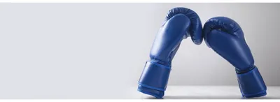 Перчатки для бокса тренировочные снарядные Super Pro SPBGS110 купить в  Москве | ВиваСпорт