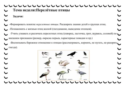 Картинки перелетные птицы весной с названиями (69 фото) » Картинки и  статусы про окружающий мир вокруг