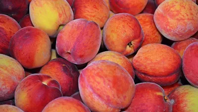 Как выбрать самые спелые персики — читать на Gastronom.ru