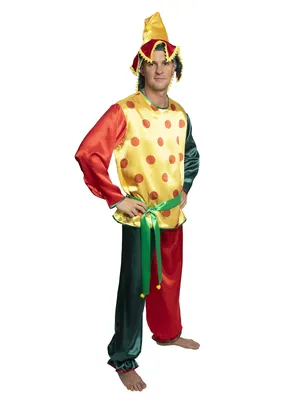 Карнавальный костюм Петрушки для мальчика: головной убор, сорочка, брюки  (Россия) купить в Калининграде