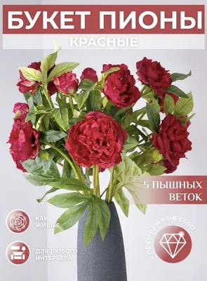Купить букет красных пионов по доступной цене с доставкой в Москве и  области в интернет-магазине Город Букетов