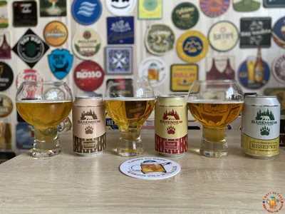 Польское пиво было признано лучшим стилем пива в мире | The Warsaw