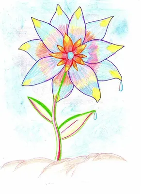 Рисунок к произведению неизвестный цветок простым карандашом (49 фото) »  Рисунки для срисовки и не только