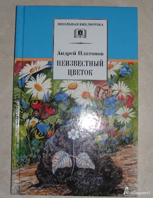 Иллюстрация 3 из 31 для Неизвестный цветок - Андрей Платонов | Лабиринт -  книги. Источник: Natalia12345