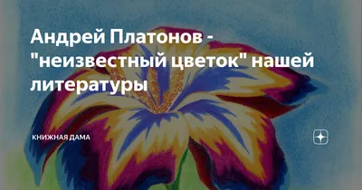 Книга Неизвестный цветок. Рассказы - купить детской художественной  литературы в интернет-магазинах, цены на Мегамаркет |