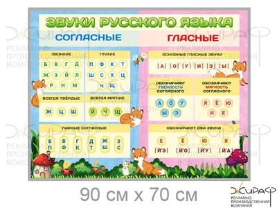 Стенды Русский язык и правописание для начальной школы | Купить недорого с  доставкой по России
