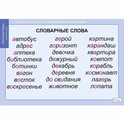 Занятия д/нач. школы. Русский язык. 4 класс НОВ - Стрекоза