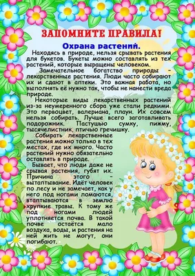 Берегите природу » МАДОУ «Детский сад №29 комбинированного вида»