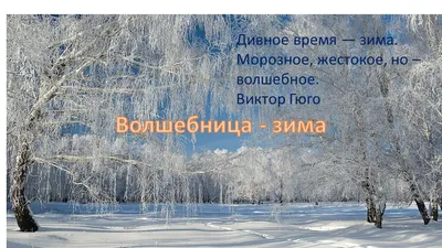 Подборка презентаций на тему: \"Зима\", \"Новый год\" | Дошкольник: играем,  развиваемся, растём | ВКонтакте