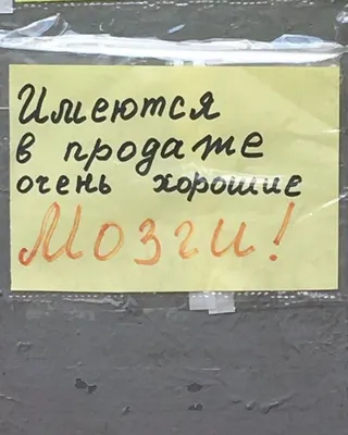 доброе утро картинки позитивные — Рамблер/картинки