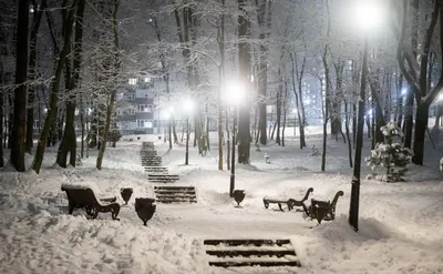 картинки : дерево, снег, зима, облако, черное и белое, туман, Погода,  пасмурная погода, монохромный, время года, метель, Замораживание,  Монохромная фотография, Атмосферное явление, Геологическое явление, зимняя  буря 4272x2422 - - 158162 - красивые ...