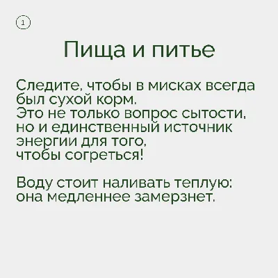 Помощь птицам зимой» 2024, Кушнаренковский район — дата и место проведения,  программа мероприятия.